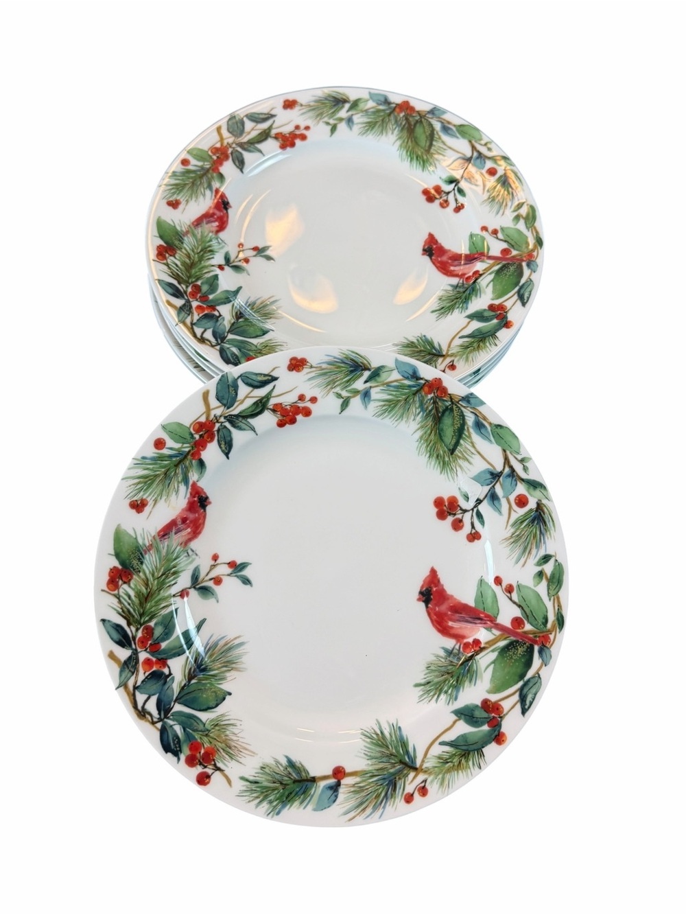 Mikasa Winter Cardinal Rim 9” Salad Plates Set 6 Bone China Christmas Holiday